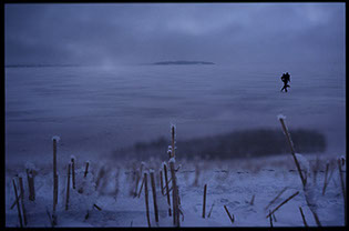 Nordic