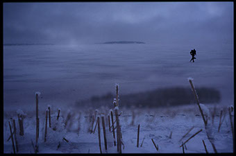 Nordic