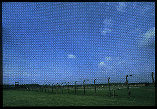 The Colours of Holocaust