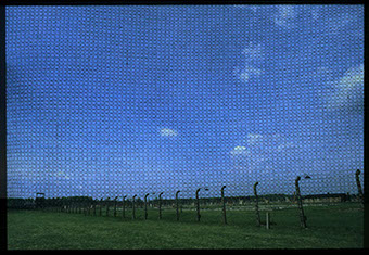 The Colours of Holocaust